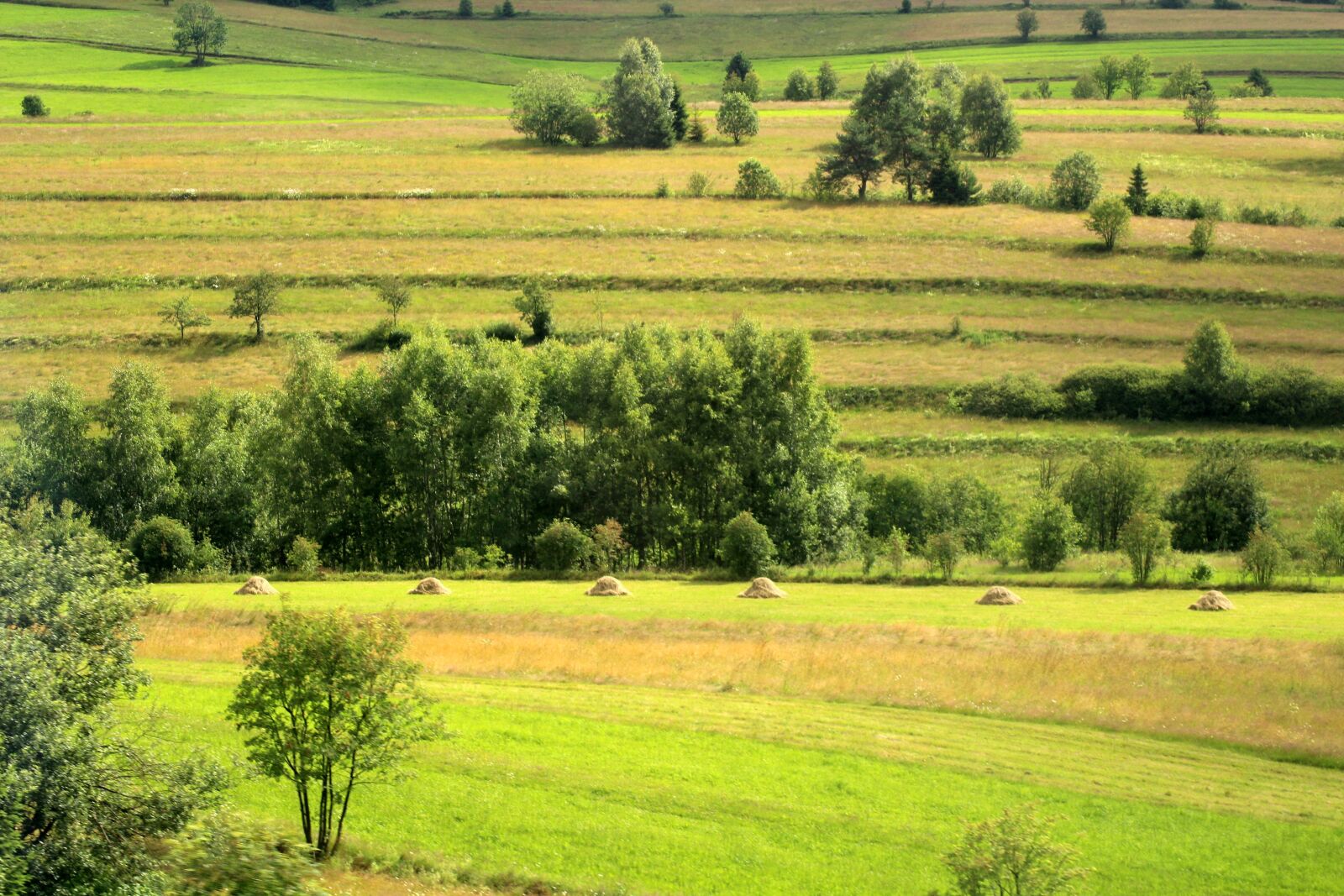 Canon EOS 1200D (EOS Rebel T5 / EOS Kiss X70 / EOS Hi) sample photo. Landscape, fields, figure photography