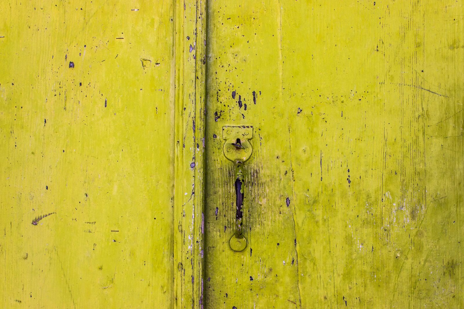 Canon EOS 600D (Rebel EOS T3i / EOS Kiss X5) sample photo. Door, handle, traditional photography