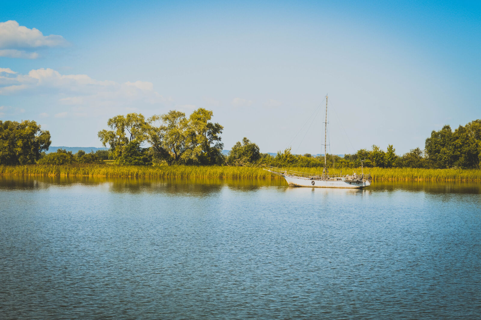 Nikon D3200 sample photo. Body, of, water, and photography