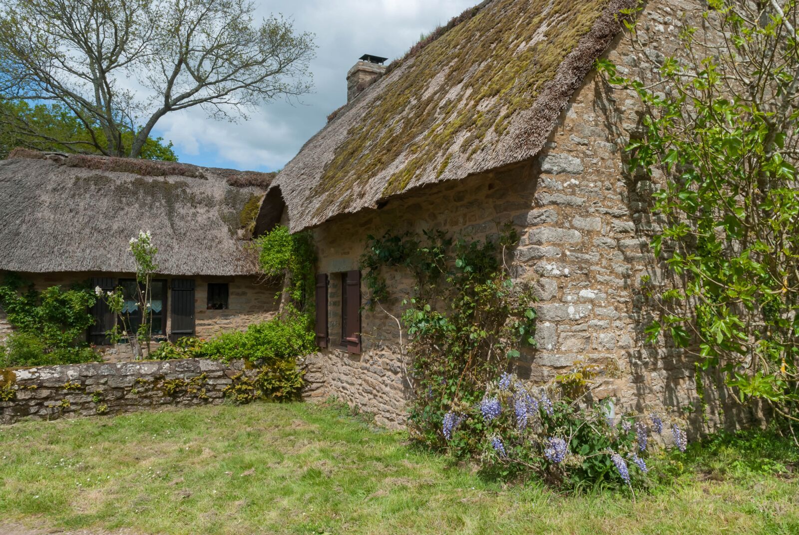 Nikon D80 sample photo. France, kerhiné, loire atlantique photography
