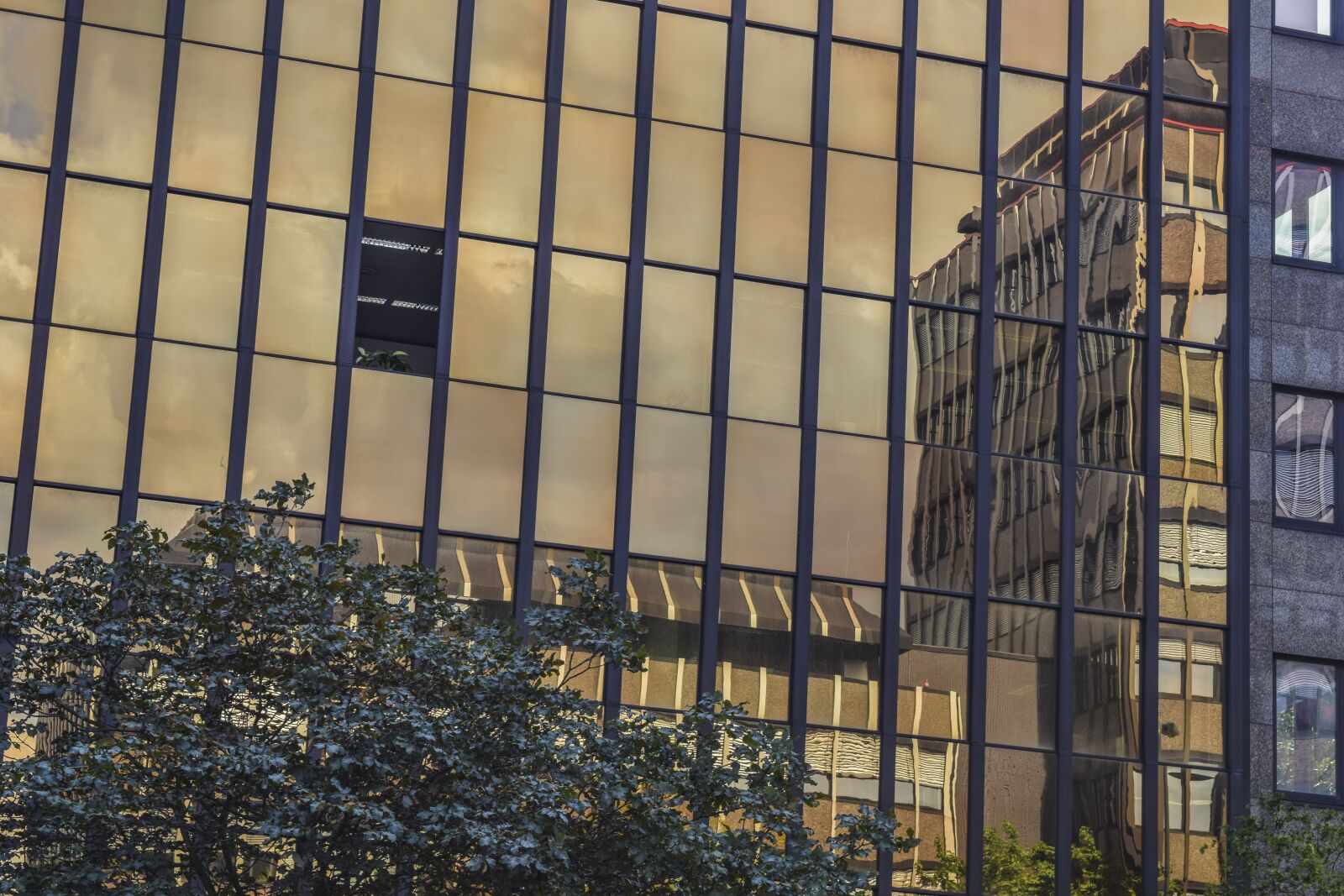 Nikon D3300 sample photo. Architecture, facade, building photography