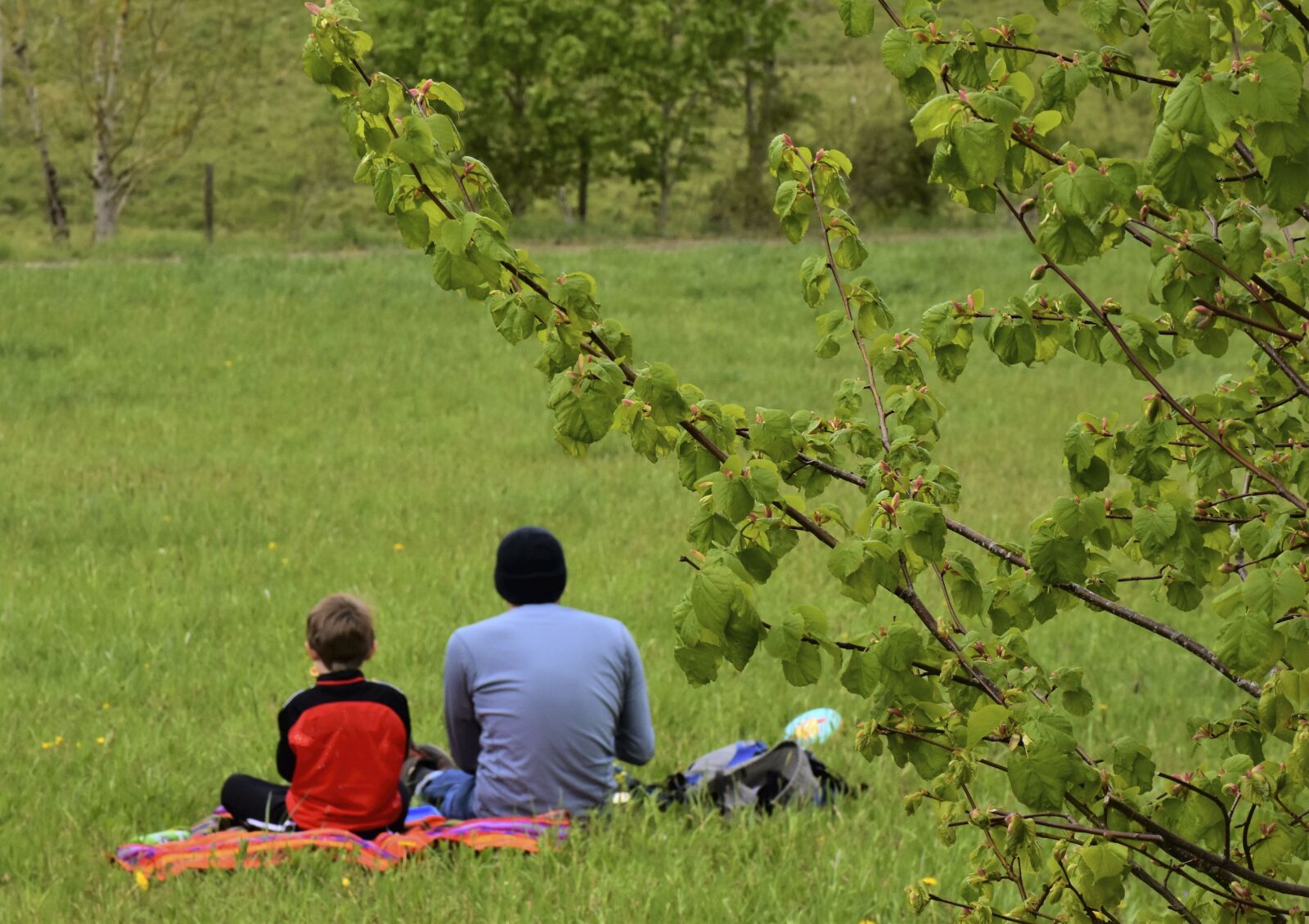 Nikon D7200 sample photo. Father, son, family photography