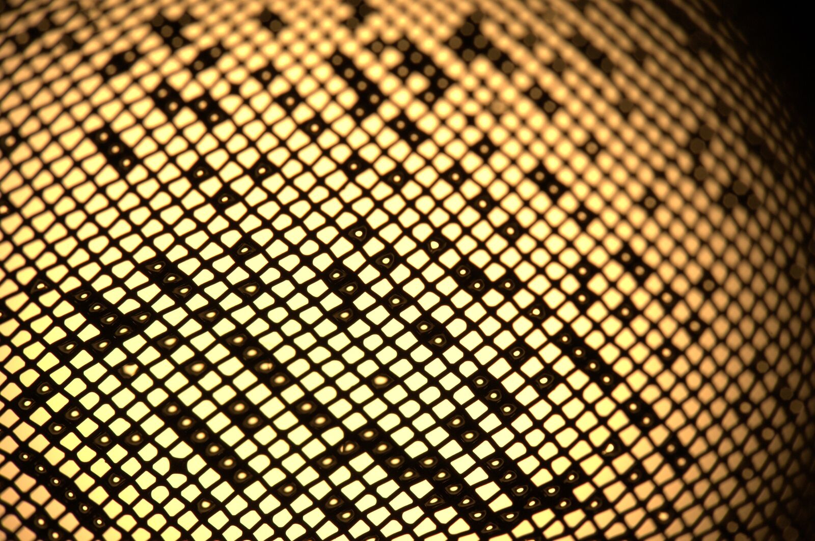 Nikon D3100 sample photo. Strainer, network, yellow photography