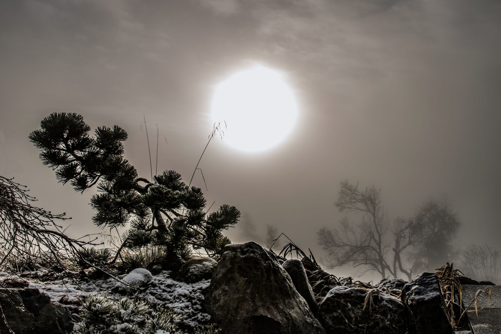 Nikon D5500 sample photo. Sun, sunset, lying sun photography