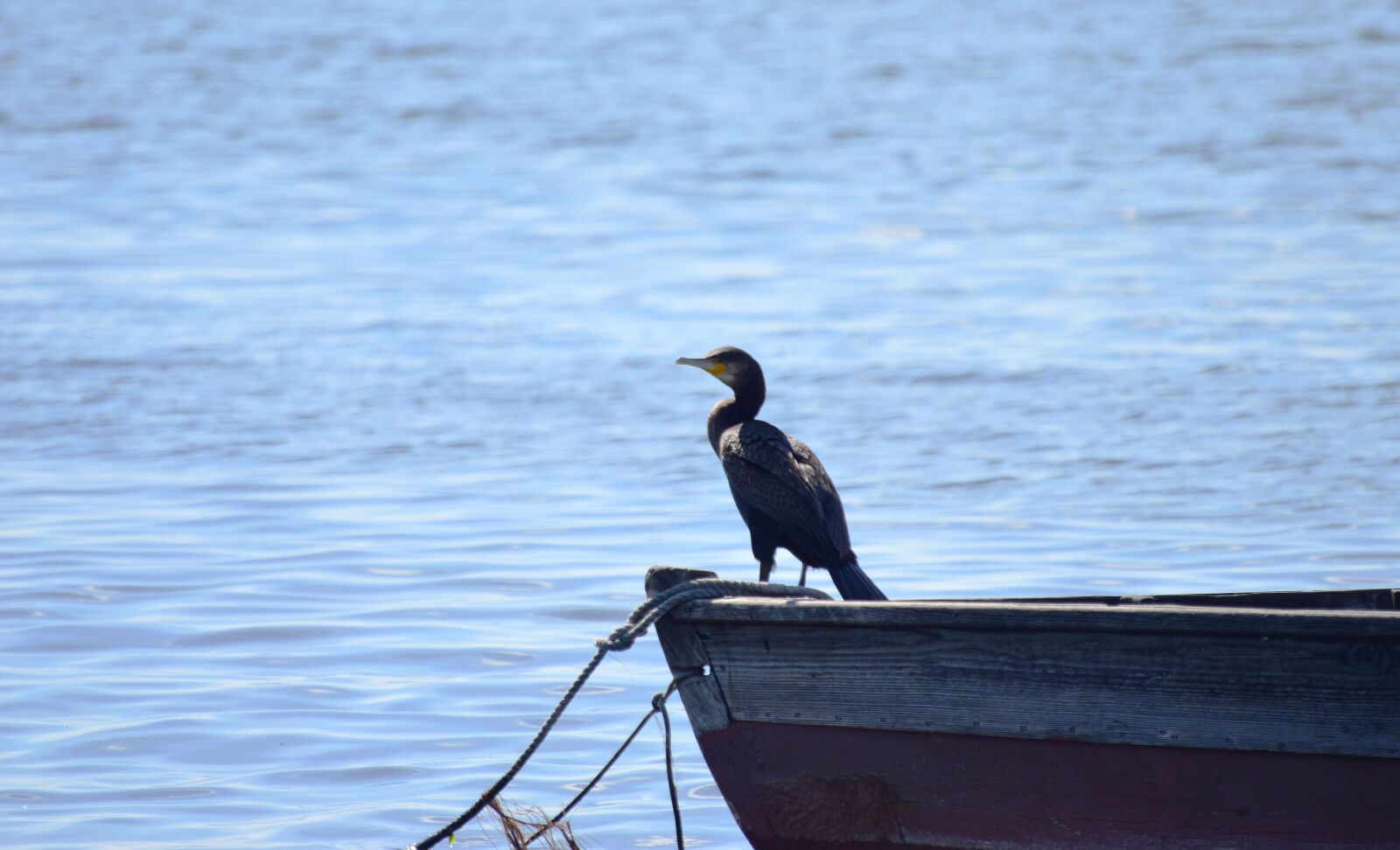 Nikon D3200 sample photo. Sea, evening, boat photography