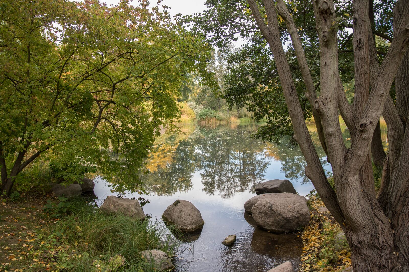 Pentax K-3 sample photo. Trees, park, lake photography