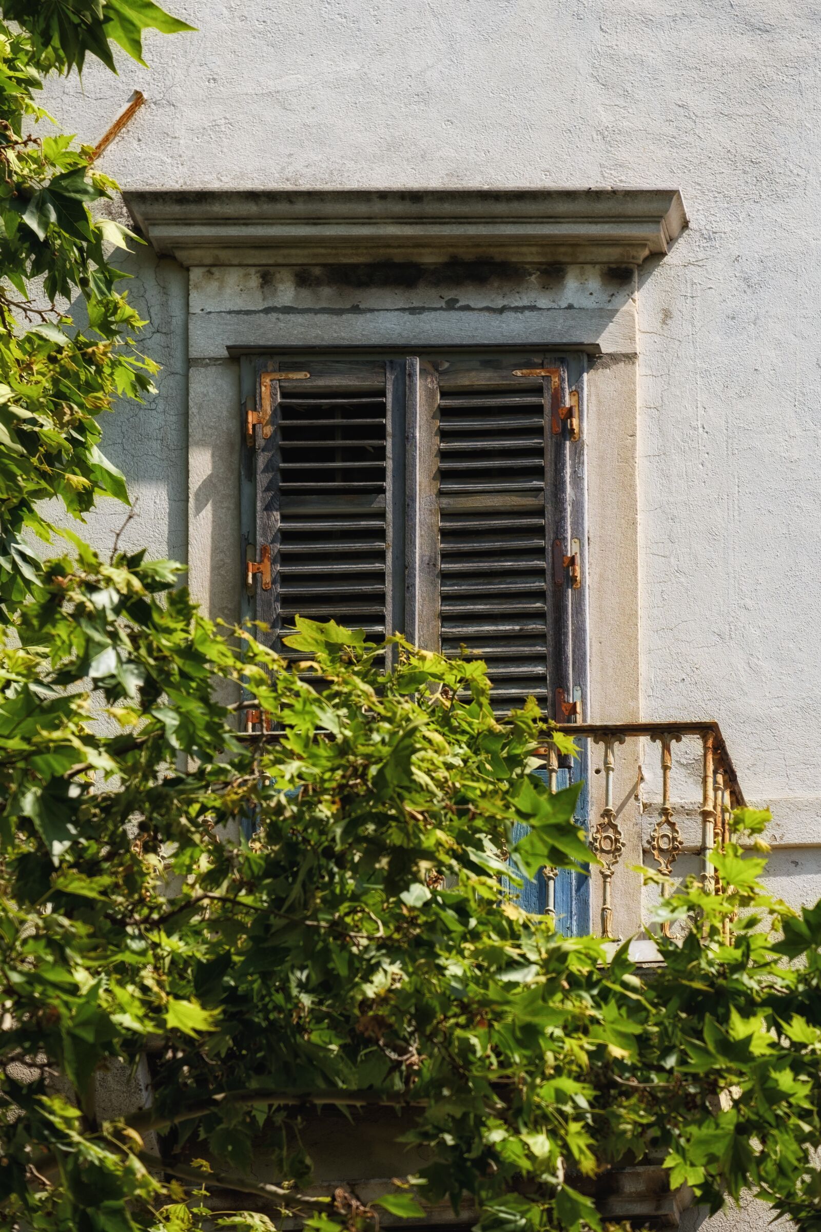 Fujifilm X-T2 + Fujifilm XF 55-200mm F3.5-4.8 R LM OIS sample photo. Window, opening, old photography