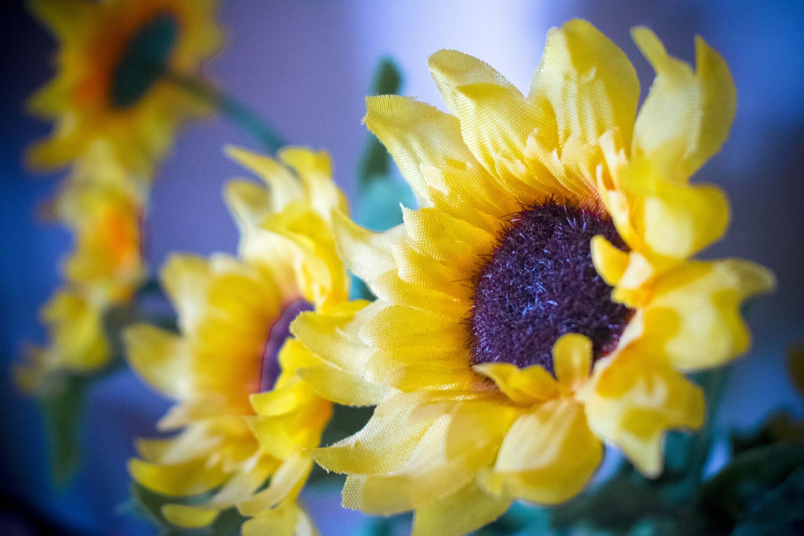 Nikon D3300 sample photo. Sunflowers, artificial, flowers photography