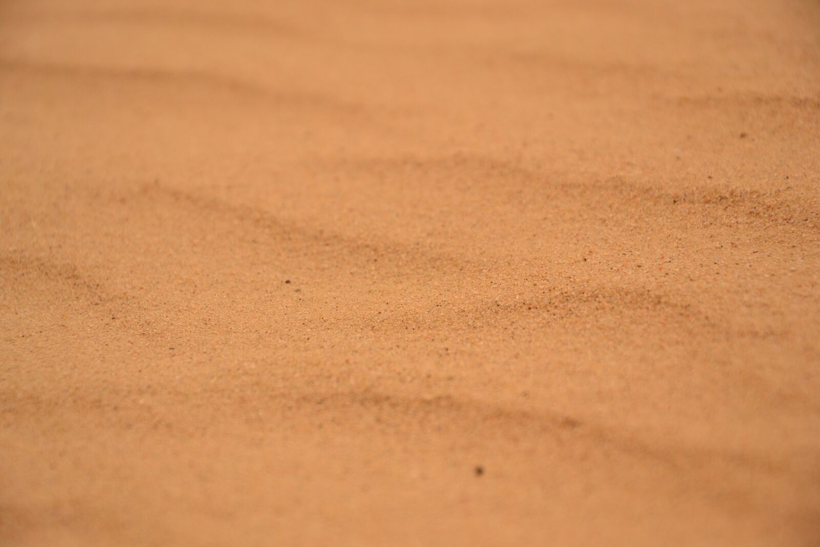 Nikon D3100 sample photo. Sand, desert, drought photography