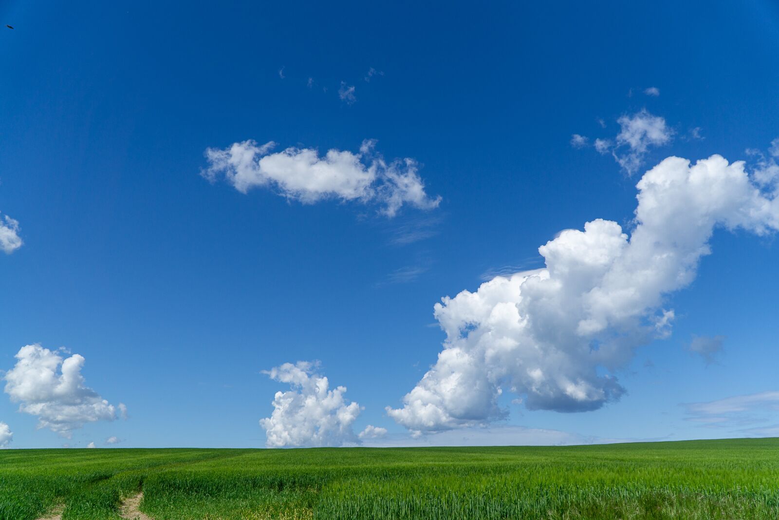 Sony a6000 + Sony E PZ 18-105mm F4 G OSS sample photo. Sky, weather, clouds photography