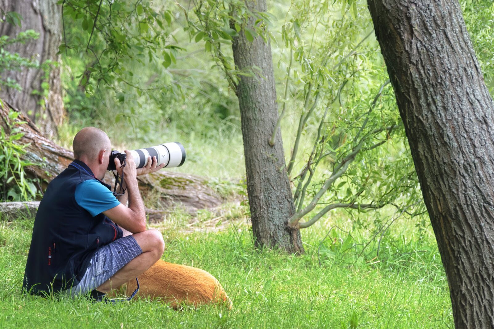 Nikon D5300 sample photo. Man, the person, photographer photography