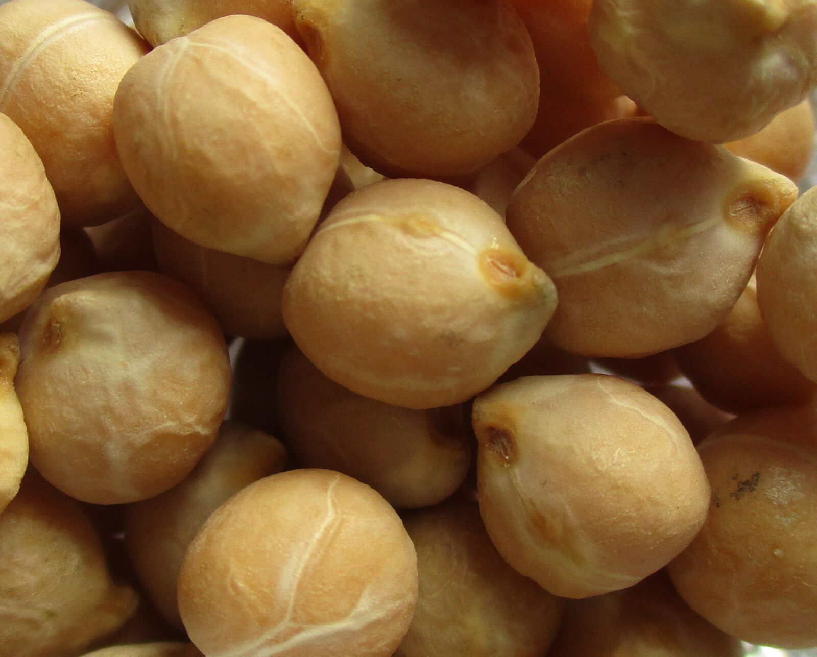 Canon IXUS 185 sample photo. Legumes, chickpeas, food photography