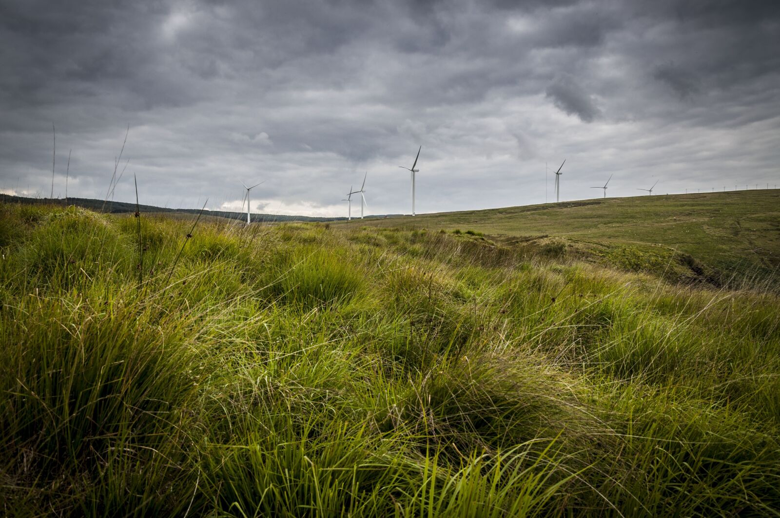 Nikon D90 sample photo. Landscape, wind farm, wind photography