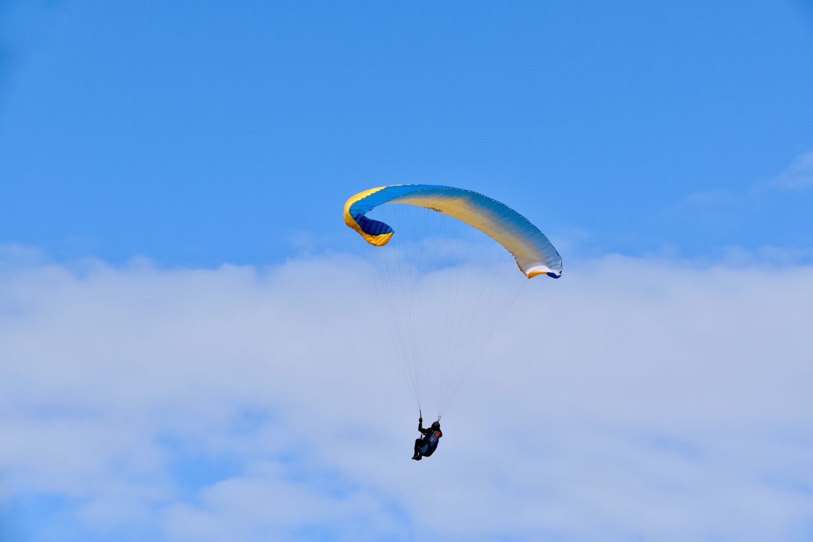 Nikon D5600 sample photo. Paragliding, paraglider, downhill fast photography