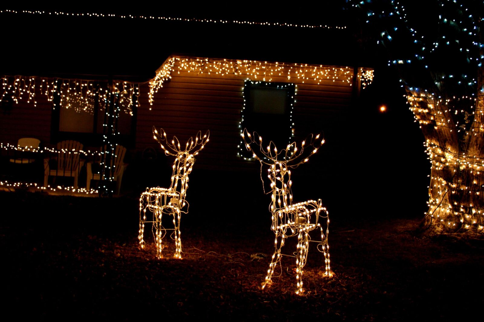 f/3.5-5.6 IS sample photo. House, night, christmas night photography