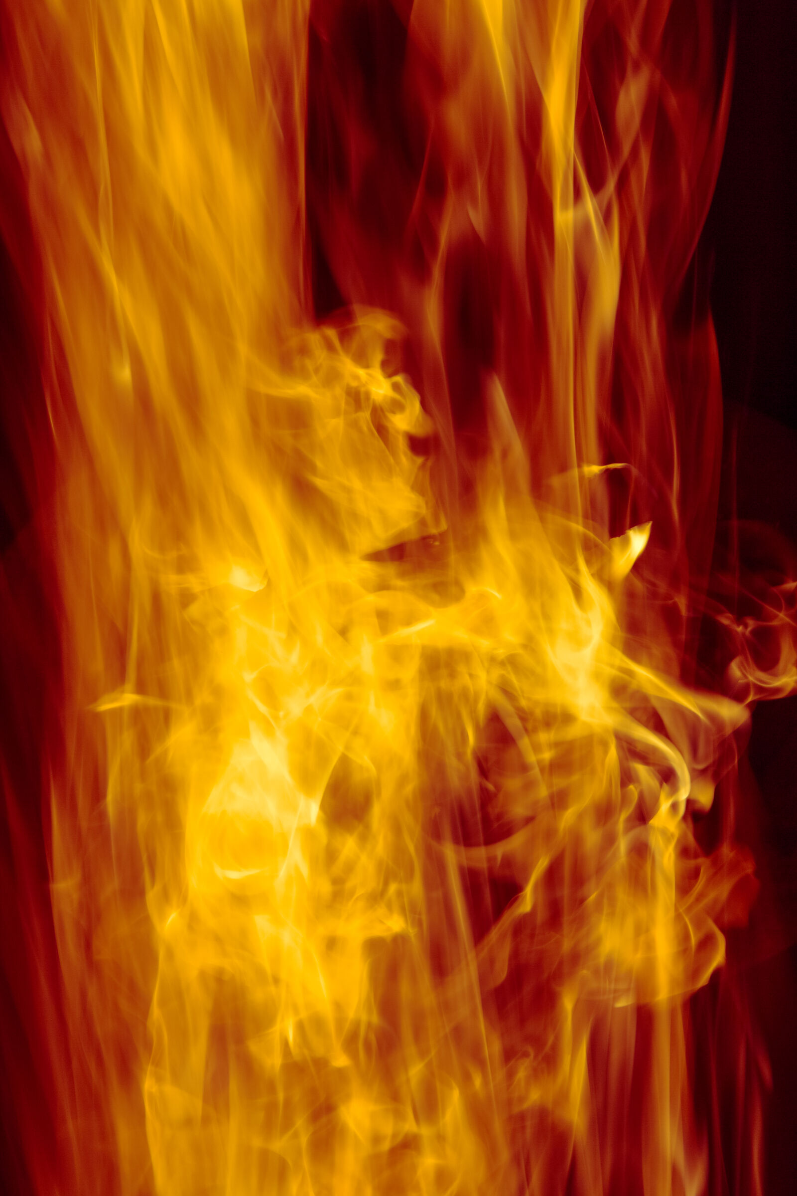 Canon EF 24-70mm F2.8L II USM sample photo. Red, fire, hot, orange photography
