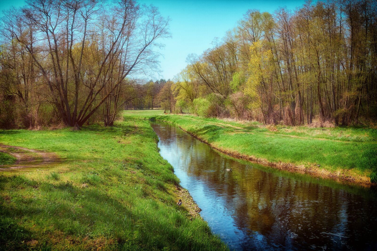 Sony Cyber-shot DSC-RX100 III sample photo. Landscape, nature, river photography