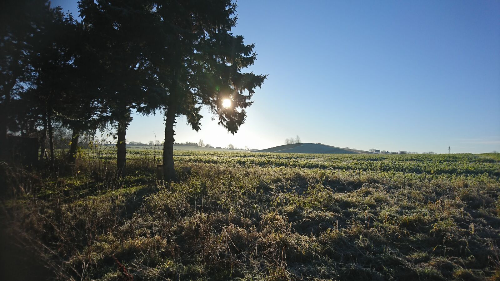 Sony Xperia XZ sample photo. Bible, denmark, winter photography