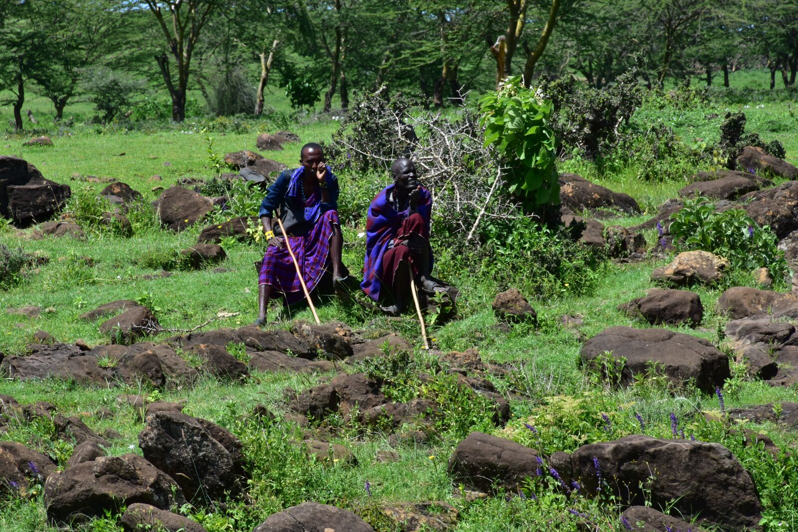 Nikon D7200 sample photo. Tanzania, masai, africa photography