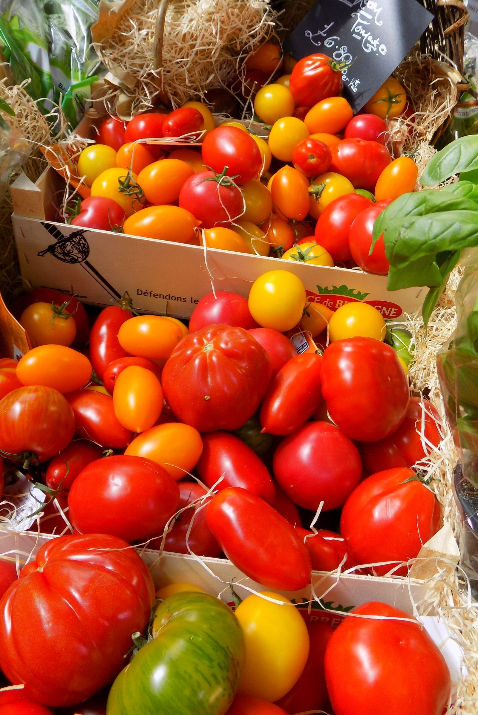 Nikon COOLPIX L340 sample photo. Spanish tomatoes, red tomatoes photography