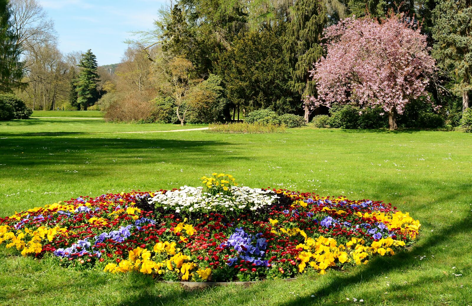 Nikon D5200 sample photo. Flower, greizer park, places photography