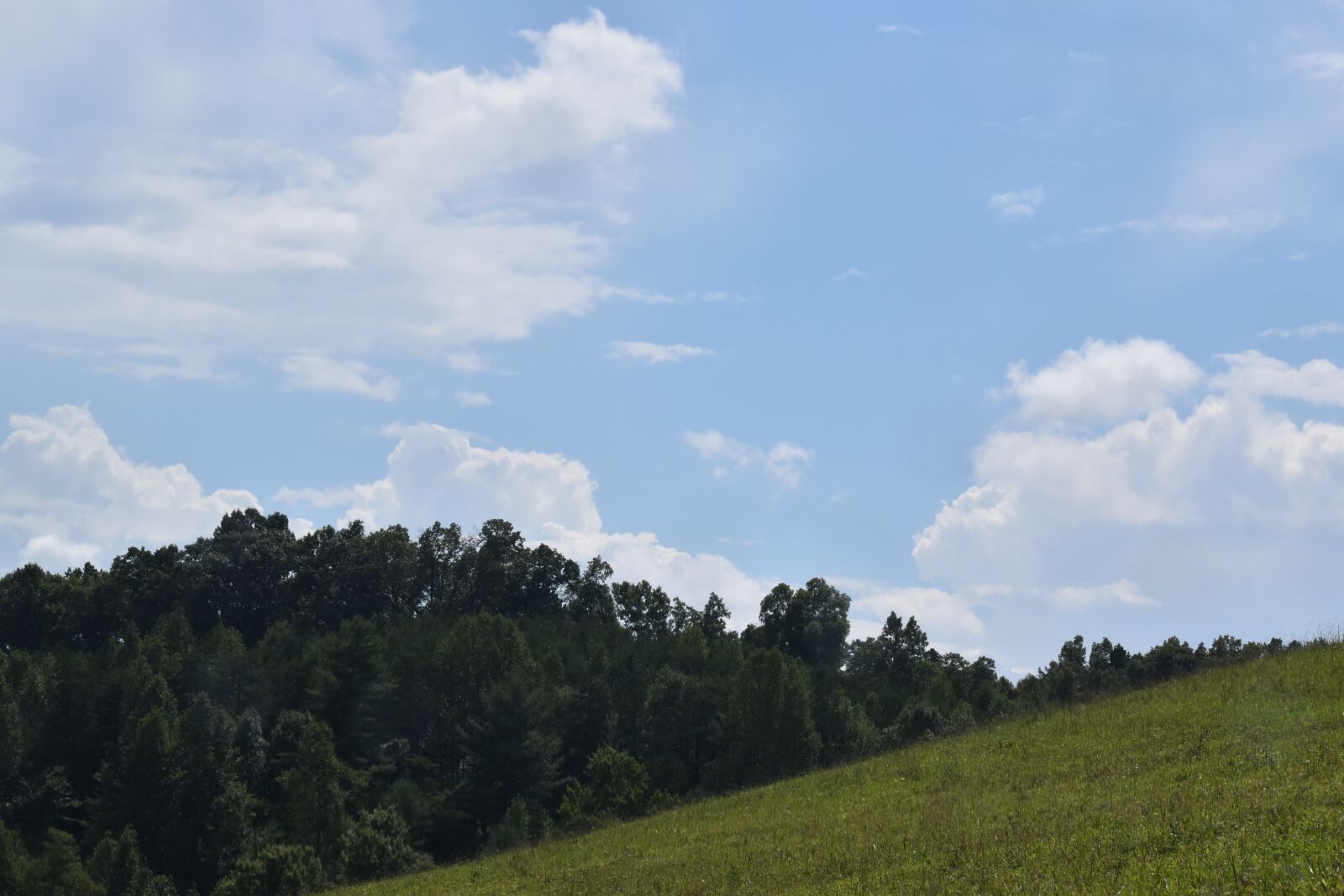 Nikon D5500 sample photo. Clouds, farm, kentucky photography