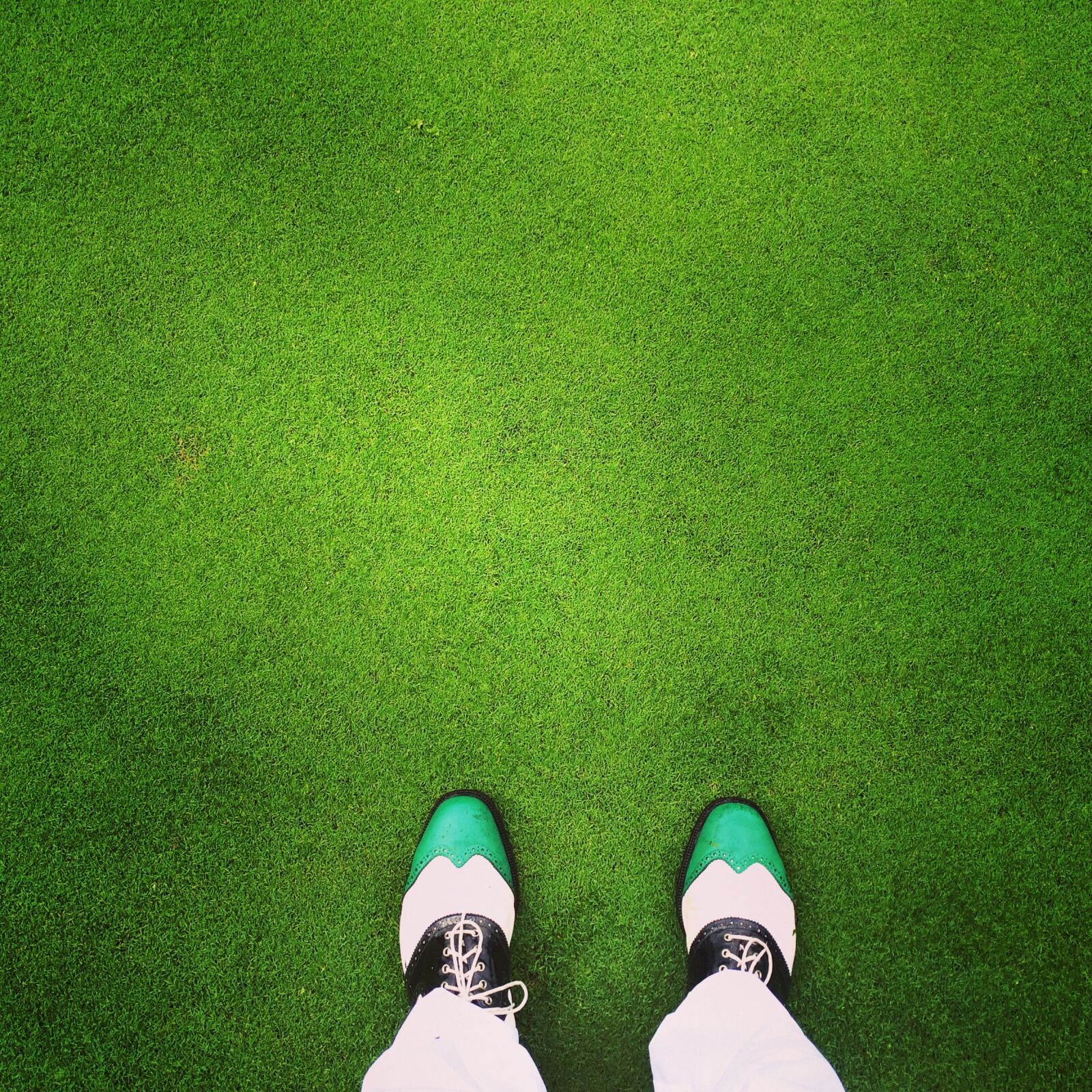 iPhone 5s back camera 4.12mm f/2.2 sample photo. Golf, the golfcourse, green photography