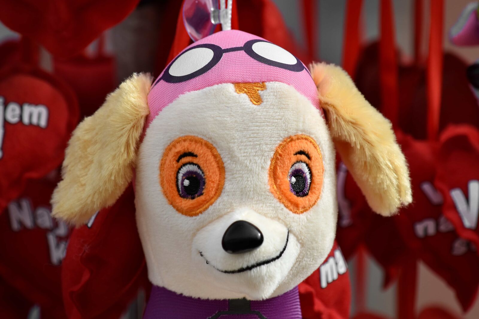 Nikon D5500 sample photo. Dog, toy, mascot, fun photography