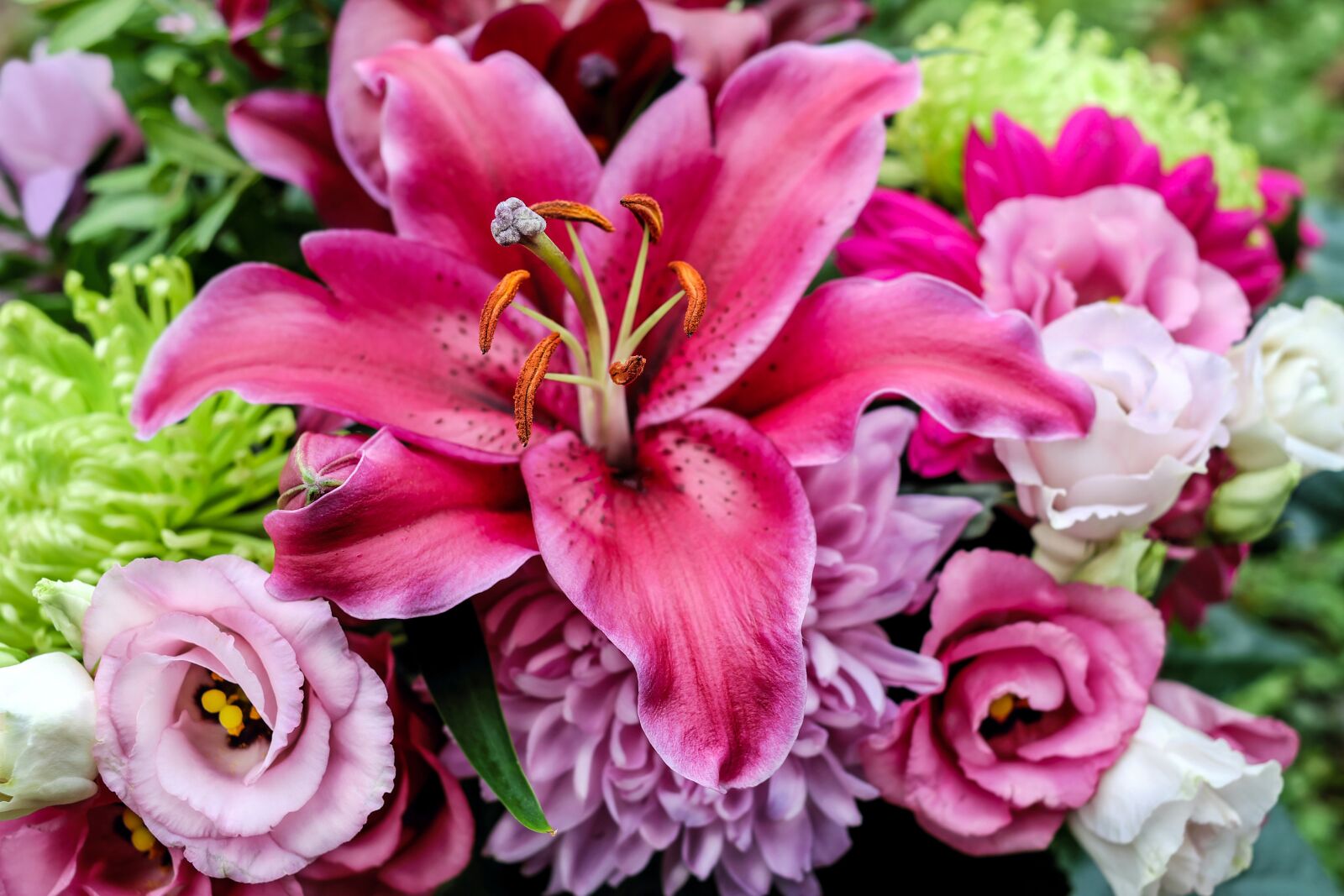 Fujifilm X-T10 + Fujifilm XF 35mm F1.4 R sample photo. Lily, flower, blossom photography