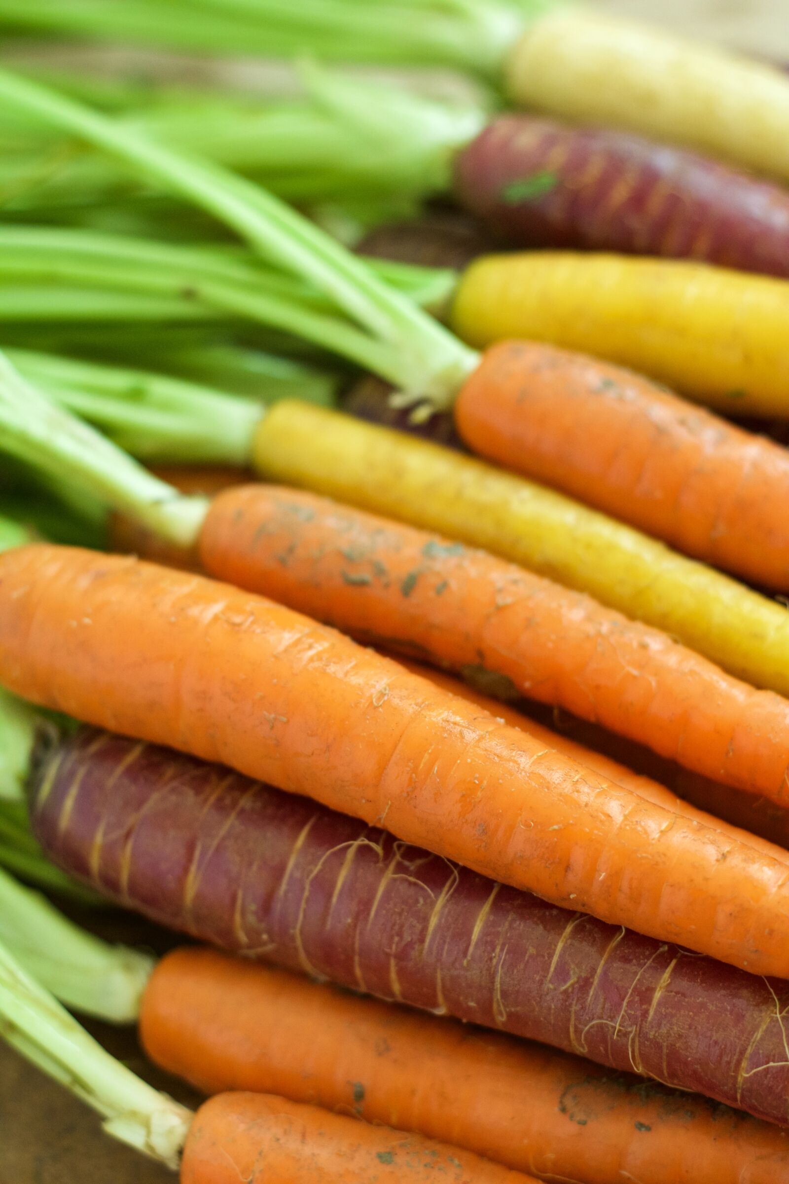 Canon EOS 70D + Canon EF 50mm F1.8 II sample photo. Carrots, orange, vegetable photography