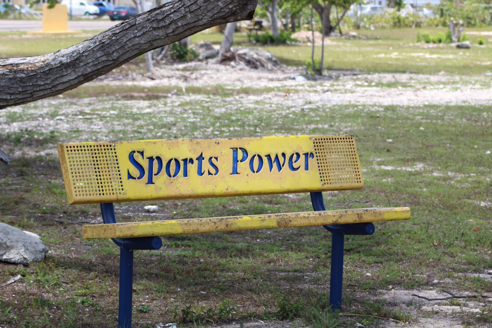 Canon EOS 1300D (EOS Rebel T6 / EOS Kiss X80) sample photo. Outdoors, signal, bench photography