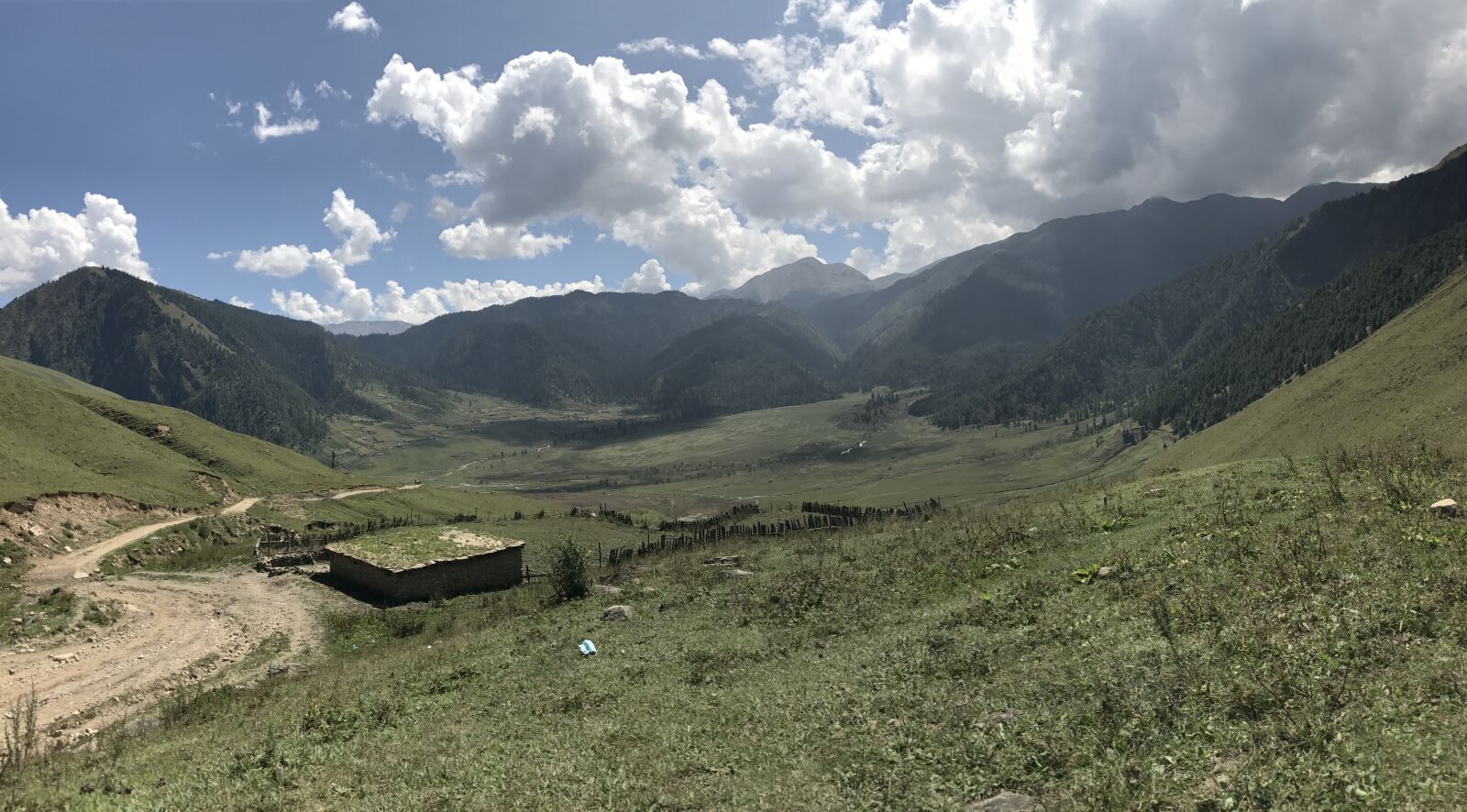 iPhone 7 back camera 3.99mm f/1.8 sample photo. Nature, jumla, rara photography