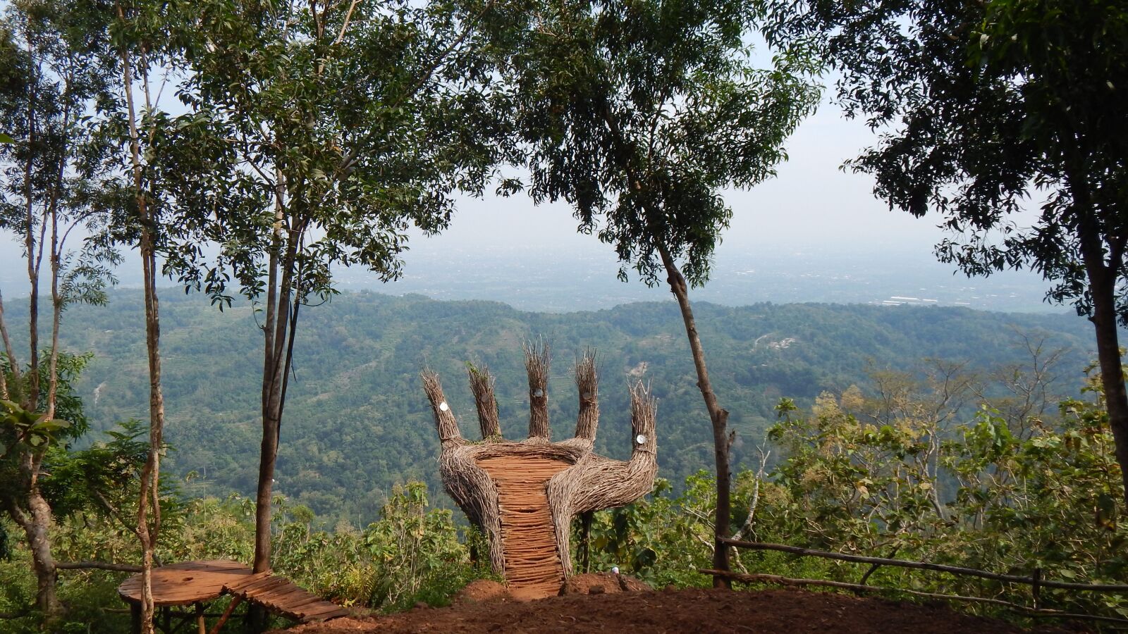 Nikon Coolpix L830 sample photo. Wonderful, forest, jungle photography