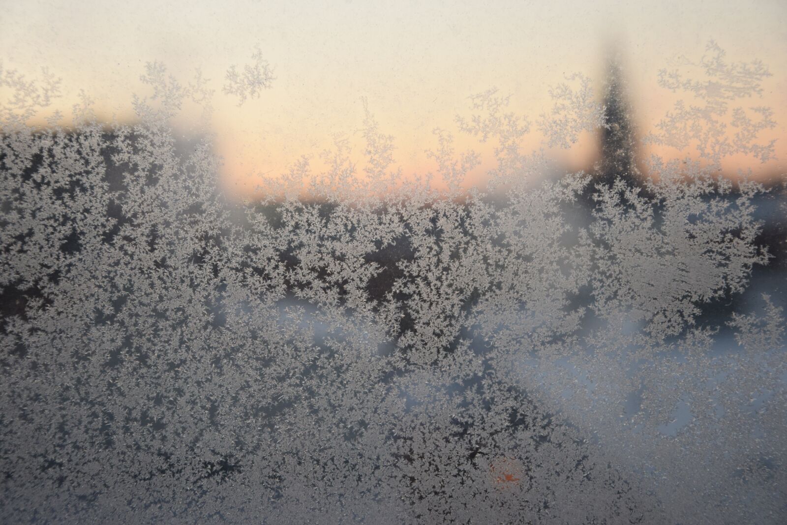 Nikon D3300 sample photo. Ice, winter, frost photography