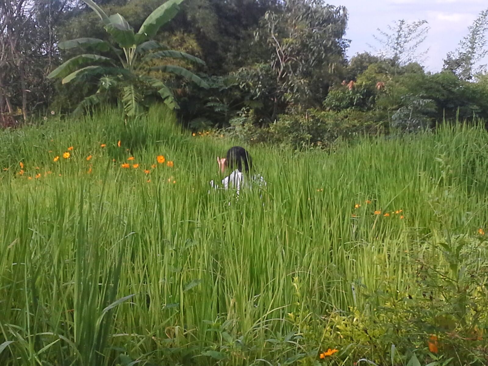 Samsung Galaxy Note 10.1 sample photo