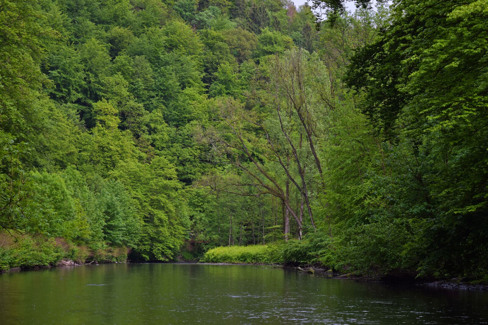 Nikon D3300 sample photo. Landscape, river, nature photography