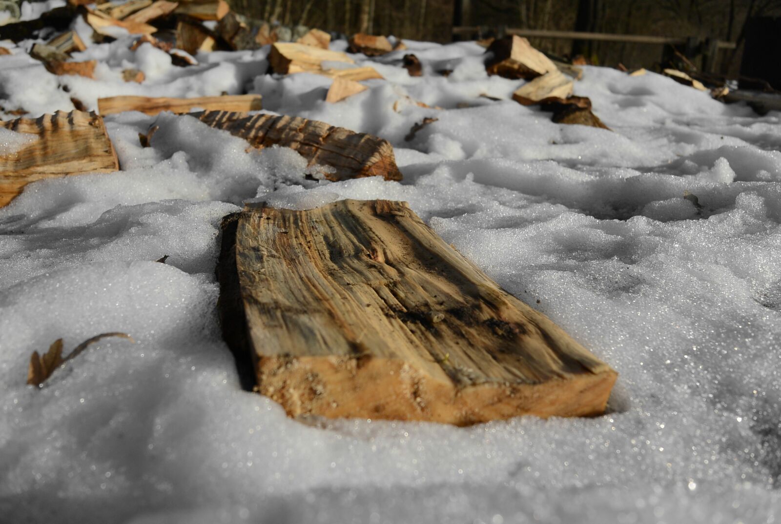 Nikon 1 S1 sample photo. Wood, log, snow photography