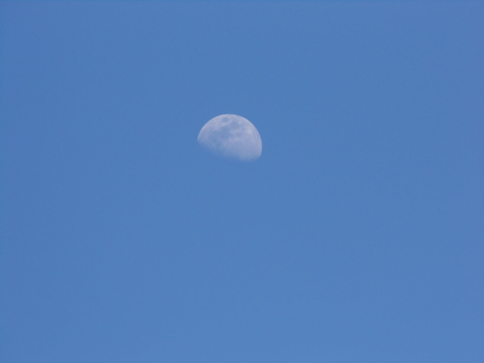 Sony DSC-H100 sample photo
