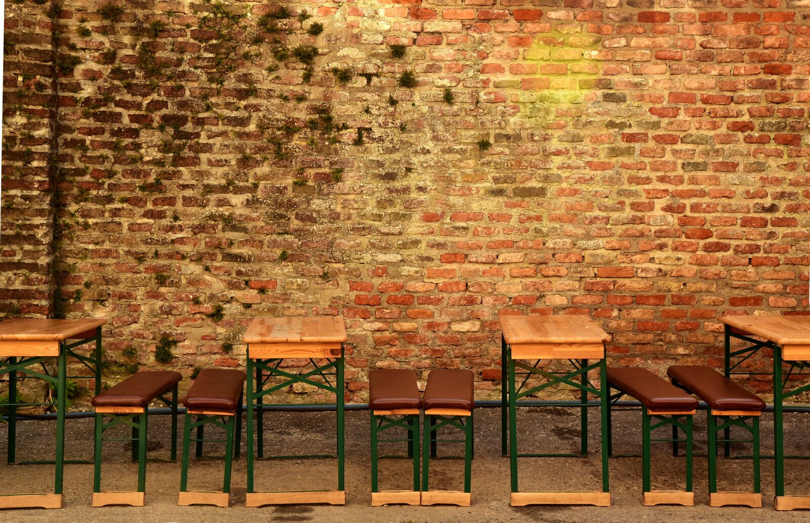 Nikon D750 sample photo. Benches, bierbaenke, folk festival photography