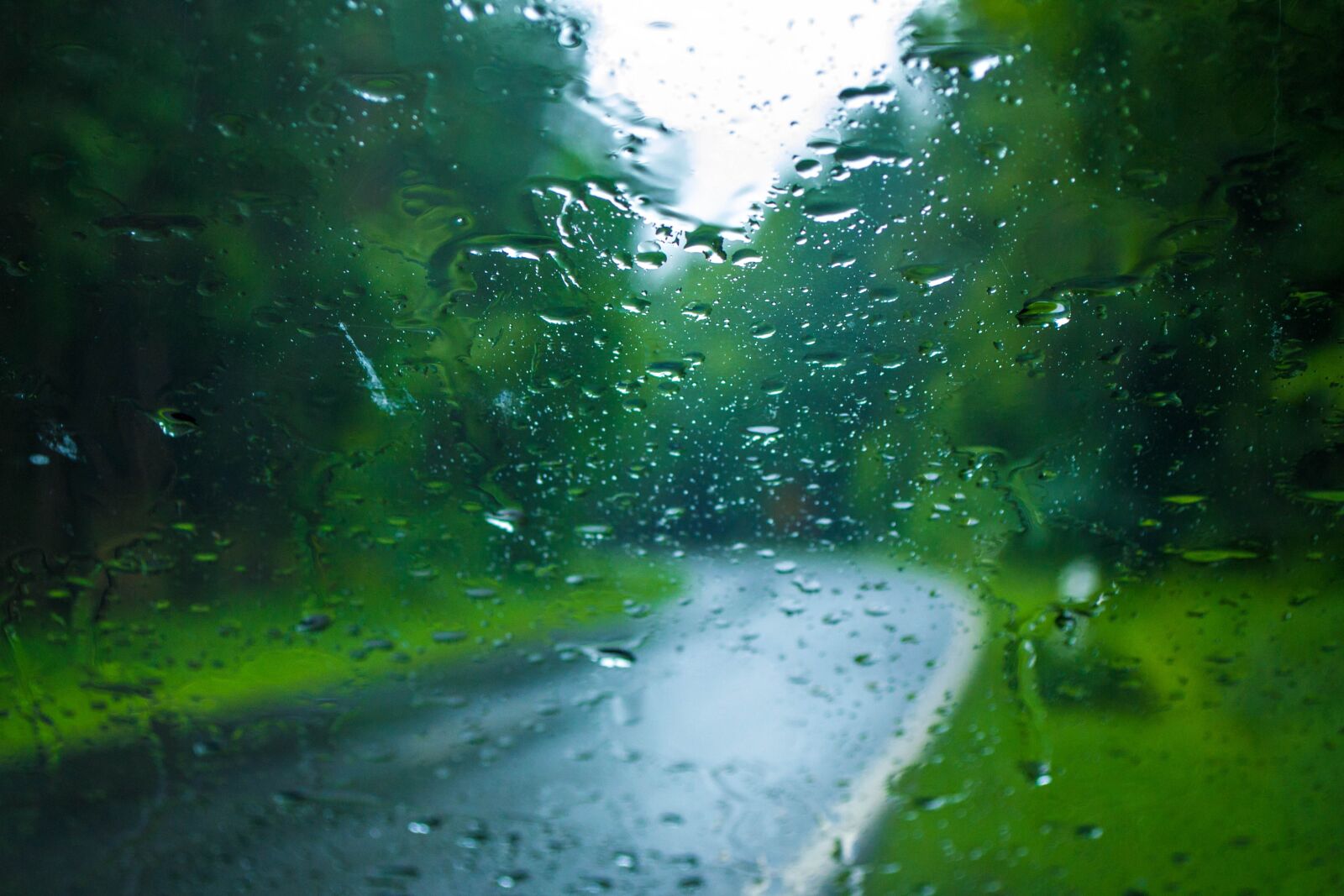 Nikon D3100 sample photo. Summer, rain, day photography
