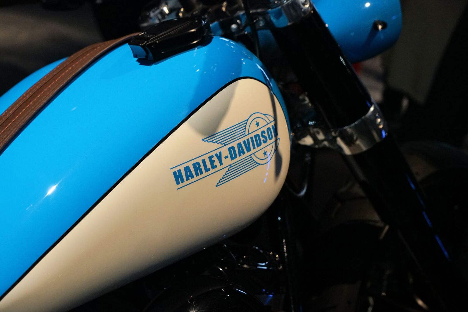 Sony a7 II + Sony Vario Tessar T* FE 24-70mm F4 ZA OSS sample photo. Harley davidson, logo, tank photography