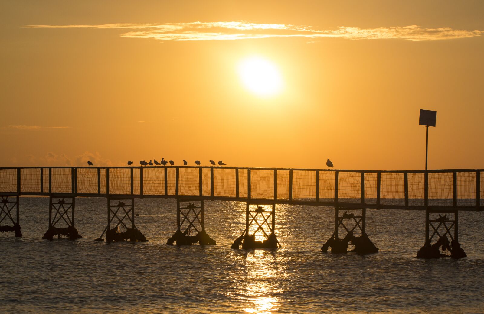 Canon EOS 650D (EOS Rebel T4i / EOS Kiss X6i) sample photo. Beach, sunrise, sea photography