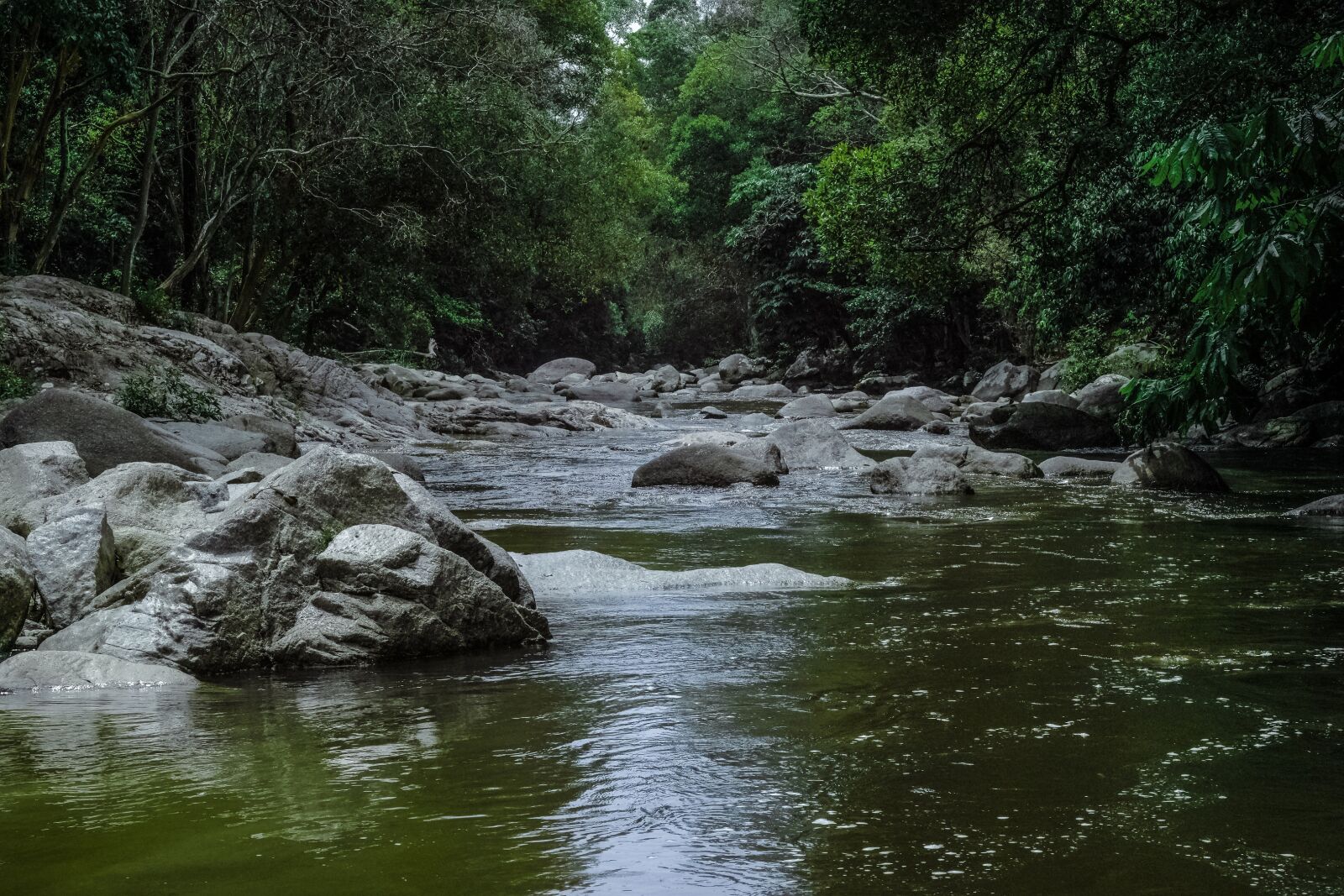 Samsung NX1 sample photo. Nature, water, river photography