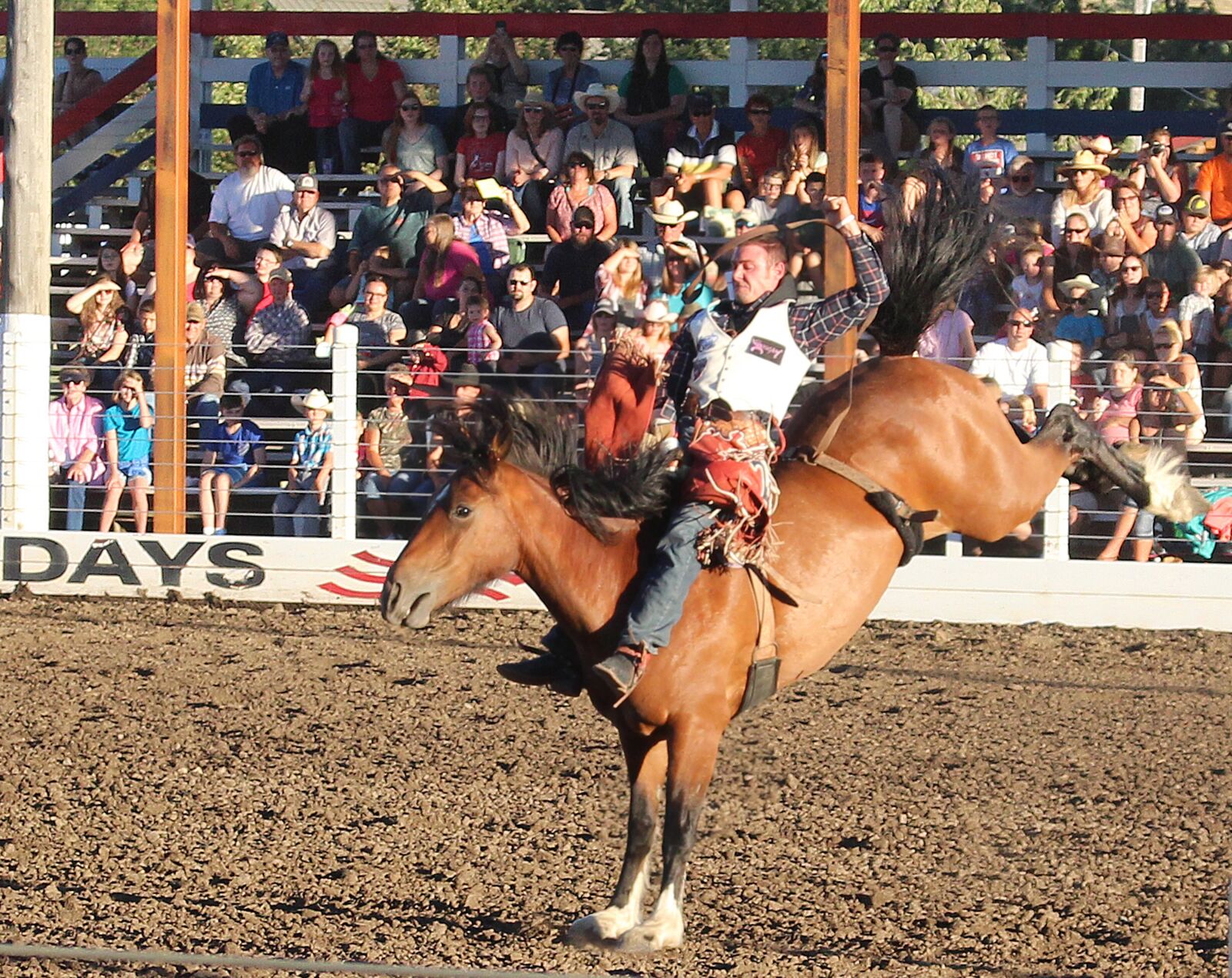 Canon EOS 700D (EOS Rebel T5i / EOS Kiss X7i) sample photo. Rodeo, horse, cowboy photography