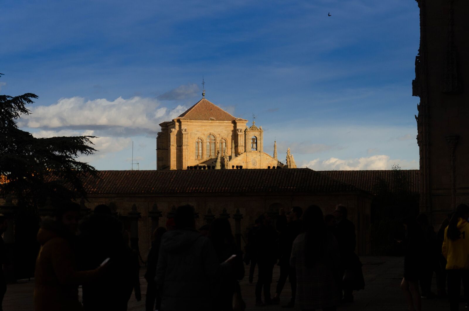 Nikon D7000 sample photo. City, shadow, castle photography