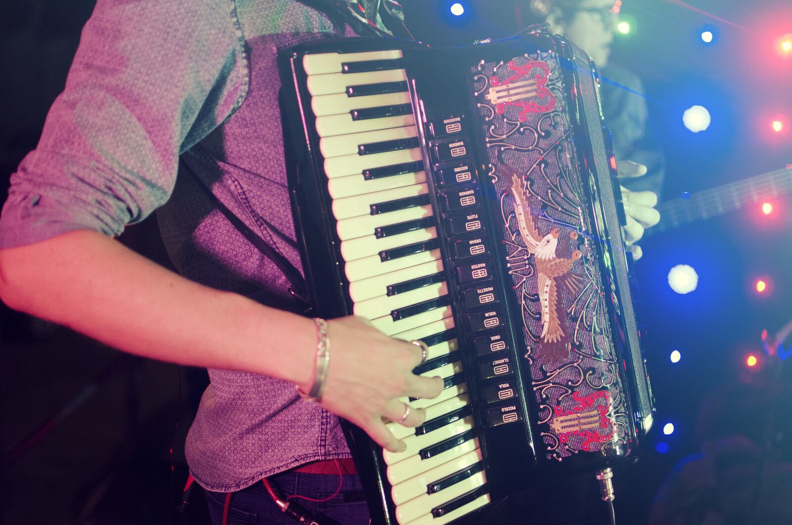 Nikon D7000 sample photo. Accordion, harmonica, acordeon photography
