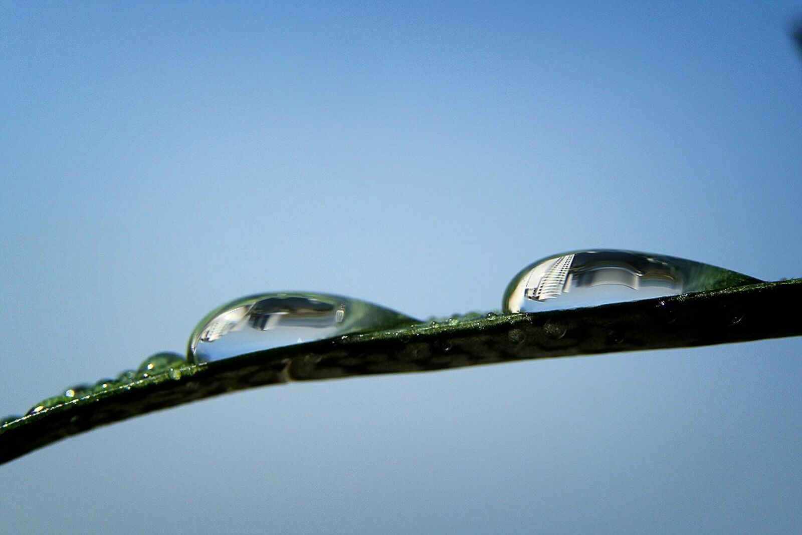 Две капли. Звук капли воды. Звук капель воды. Капля природа звук. Шум капель дождя.