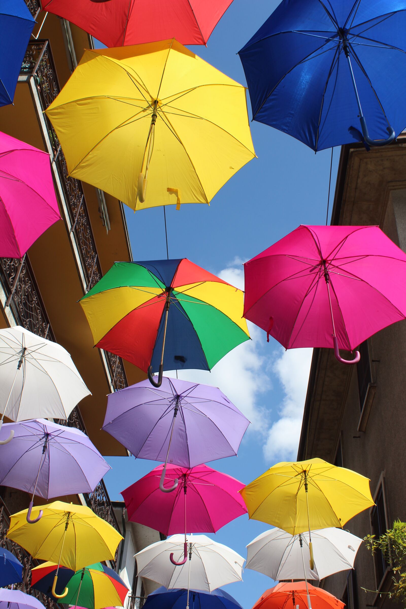 Canon EOS 1300D (EOS Rebel T6 / EOS Kiss X80) sample photo. Umbrellas, colors, arona photography