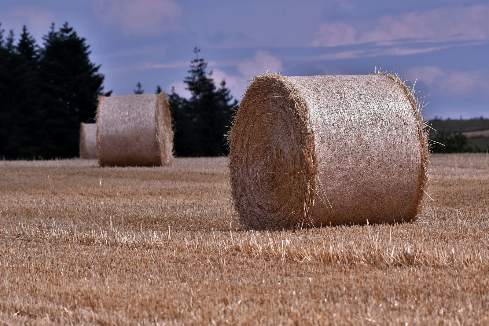 Nikon D500 sample photo. Straw, summer, harvest photography