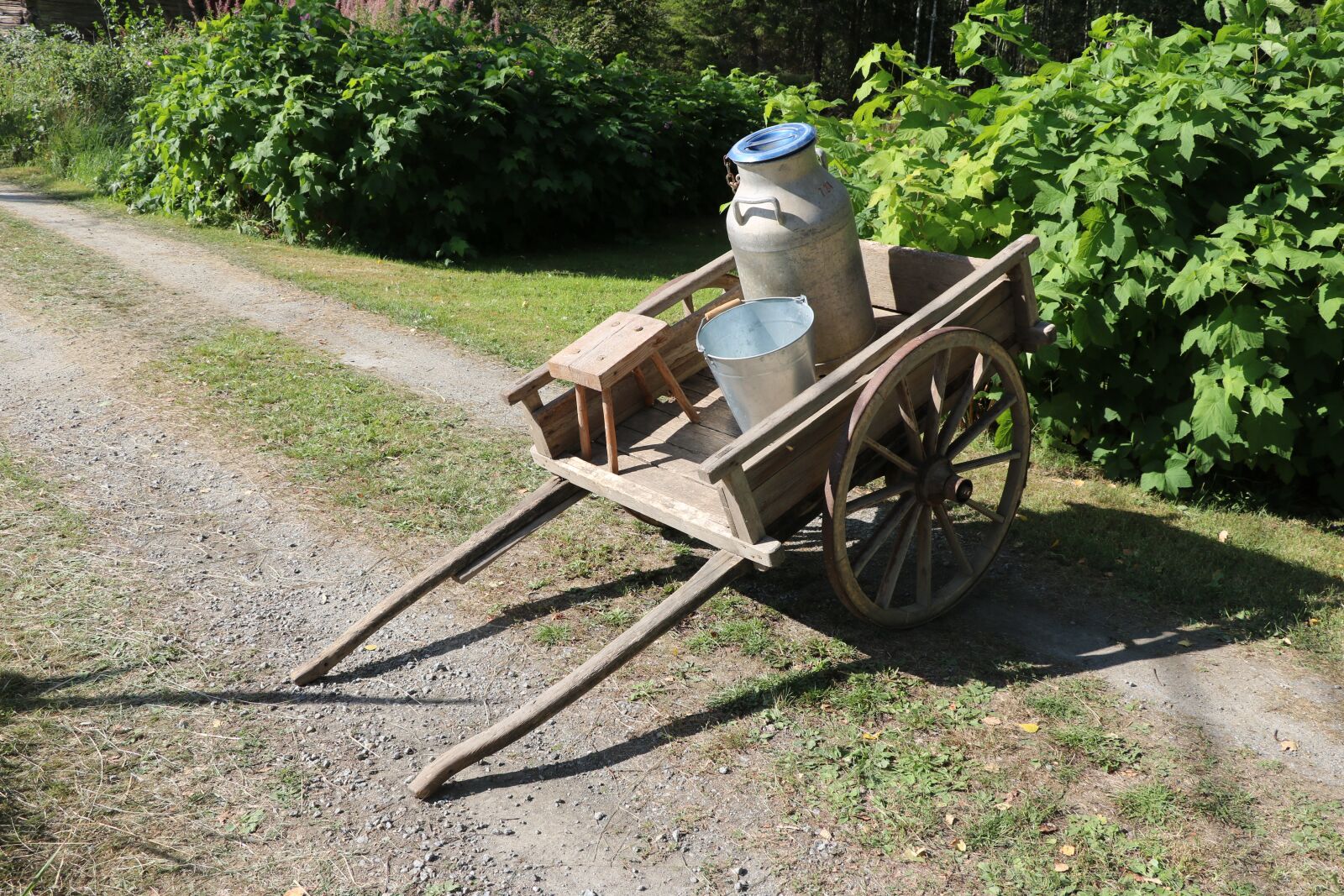 Canon EOS 750D (EOS Rebel T6i / EOS Kiss X8i) sample photo. Cart, milk cart, lypsyrattaat photography